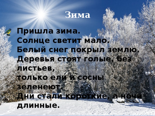Зима Пришла зима. Солнце светит мало. Белый снег покрыл землю. Деревья стоят голые, без листьев, только ели и сосны зеленеют. Дни стали короткие, а ночи длинные. 