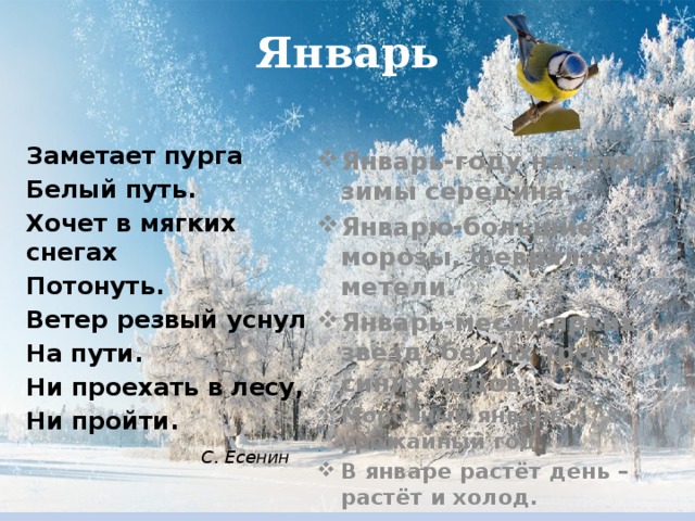 Январь Заметает пурга Белый путь. Хочет в мягких снегах Потонуть. Ветер резвый уснул На пути. Ни проехать в лесу, Ни пройти.  С. Есенин Январь-году начало, зимы середина. Январю-большие морозы, февралю-метели. Январь-месяц ярких звёзд, белых троп, синих льдов. Морозный январь – урожайный год. В январе растёт день – растёт и холод. 