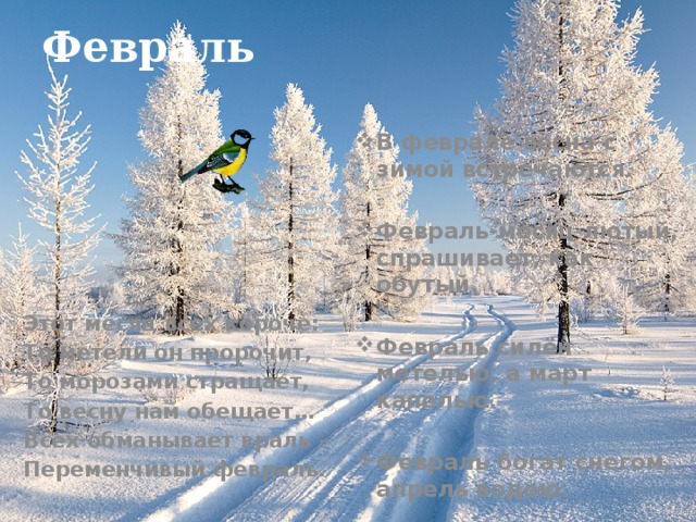 Февраль В феврале весна с зимой встречаются.  Февраль-месяц лютый, спрашивает, как обутый.  Февраль силён метелью, а март капелью.  Февраль богат снегом, апрель водою.  Этот месяц всех короче: То метели он пророчит, То морозами стращает, То весну нам обещает… Всех обманывает враль – Переменчивый февраль. 