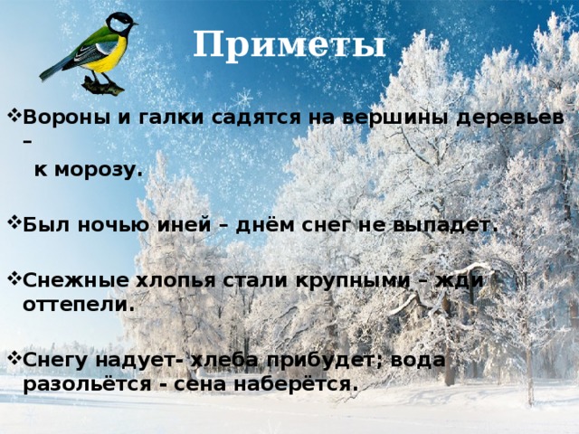 Приметы Вороны и галки садятся на вершины деревьев –  к морозу.  Был ночью иней – днём снег не выпадет.  Снежные хлопья стали крупными – жди оттепели.  Снегу надует- хлеба прибудет; вода разольётся - сена наберётся. 
