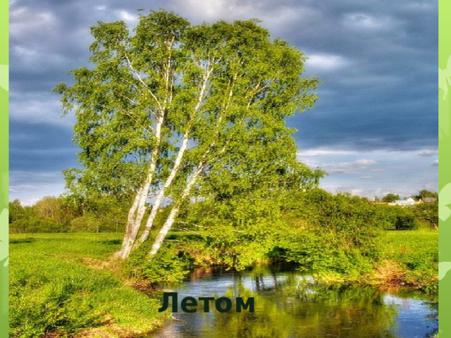 Летом 