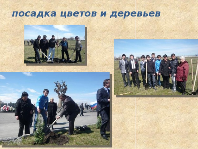 посадка цветов и деревьев   