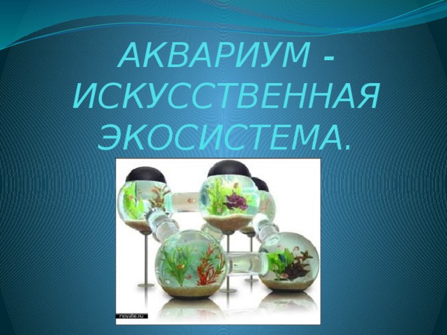 АКВАРИУМ - ИСКУССТВЕННАЯ ЭКОСИСТЕМА. 