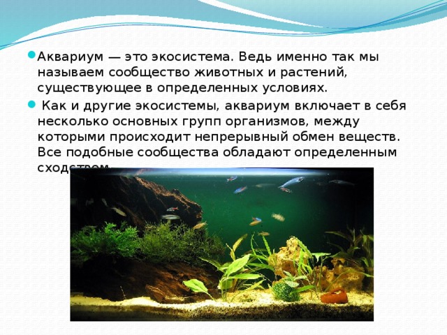 Аквариум — это экосистема. Ведь именно так мы называем сообщество животных и растений, существующее в определенных условиях.  Как и другие экосистемы, аквариум включает в себя несколько основных групп организмов, между которыми происходит непрерывный обмен веществ. Все подобные сообщества обладают определенным сходством. 