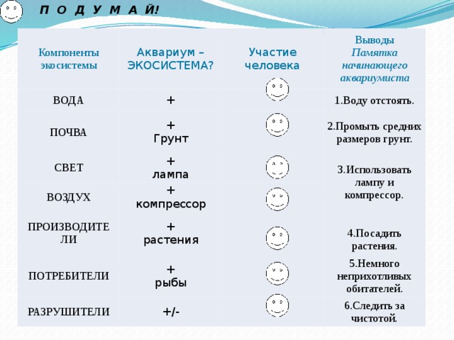 П О Д У М А Й! Компоненты экосистемы Аквариум – ЭКОСИСТЕМА? ВОДА Участие человека + ПОЧВА Выводы  Памятка начинающего аквариумиста СВЕТ +  Грунт +  лампа ВОЗДУХ 1.Воду отстоять. 2.Промыть средних размеров грунт. +  компрессор ПРОИЗВОДИТЕ ПОТРЕБИТЕЛИ +  растения 3.Использовать лампу и компрессор. ЛИ +  рыбы РАЗРУШИТЕЛИ +/- 5.Немного неприхотливых обитателей. 4.Посадить растения. 6.Следить за чистотой. 