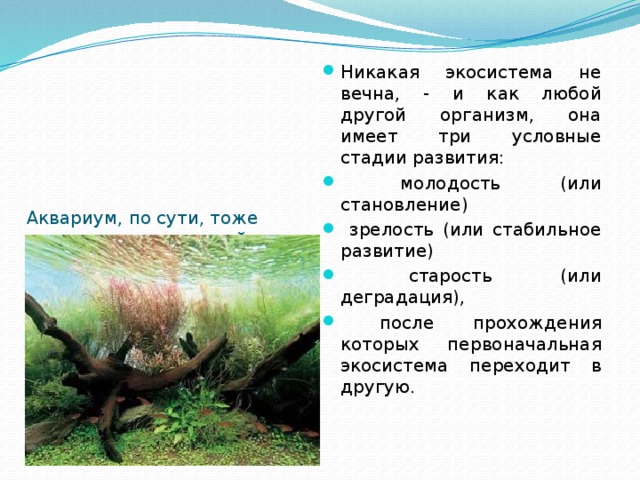 Аквариум, по сути, тоже является уменьшенной моделью гидро-экосистемы. Между аквариумом и природным водоемом, разумеется, существует множество различий, однако основные законы протекания всех процессов для них общие. Никакая экосистема не вечна, - и как любой другой организм, она имеет три условные стадии развития:  молодость (или становление)  зрелость (или стабильное развитие)  старость (или деградация),  после прохождения которых первоначальная экосистема переходит в другую. 