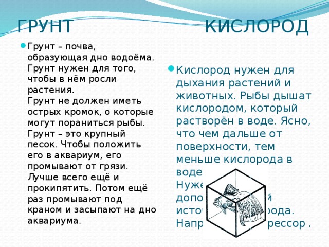 ГРУНТ КИСЛОРОД Грунт – почва, образующая дно водоёма.  Грунт нужен для того, чтобы в нём росли растения.  Грунт не должен иметь острых кромок, о которые могут пораниться рыбы.  Грунт – это крупный песок. Чтобы положить его в аквариум, его промывают от грязи. Лучше всего ещё и прокипятить. Потом ещё раз промывают под краном и засыпают на дно аквариума. Кислород нужен для дыхания растений и животных. Рыбы дышат кислородом, который растворён в воде. Ясно, что чем дальше от поверхности, тем меньше кислорода в воде.  Нужен дополнительный источник кислорода. Например, компрессор  . 