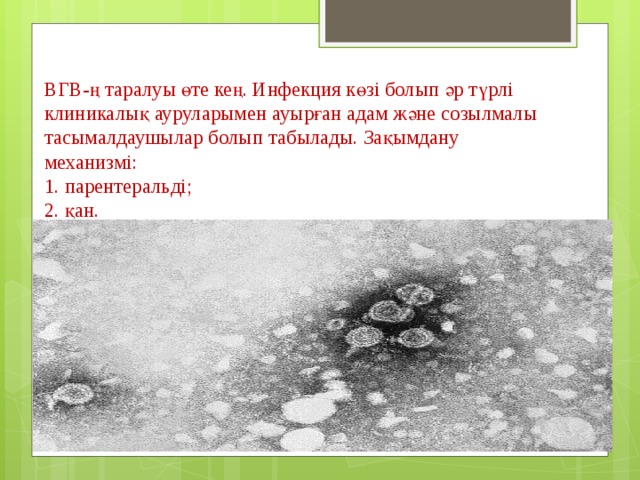 ВГВ-ң таралуы өте кең. Инфекция көзі болып әр түрлі клиникалық ауруларымен ауырған адам және созылмалы тасымалдаушылар болып табылады. Зақымдану механизмі:  1. парентеральді;  2. қан.   