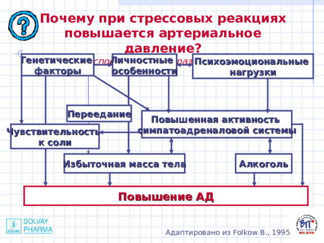 Почему при стрессовых реакциях повышается артериальное давление? (факторы, способствующие развитию гипертонии)  Генетические факторы Личностные особенности Психоэмоциональные нагрузки Переедание Повышенная активность симпатоадреналовой системы Чувствительность к соли Избыточная масса тела Алкоголь Повышение АД Адаптировано из Folkow B., 1995 
