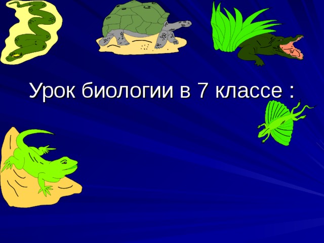 Урок биологии в 7 классе : 