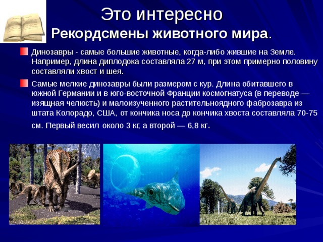 Это интересно  Рекордсмены животного мира .   Динозавры - самые большие животные, когда-либо жившие на Земле. Например, длина диплодока составляла 27 м, при этом примерно половину составляли хвост и шея. Самые мелкие динозавры были размером с кур. Длина обитавшего в южной Германии и в юго-восточной Франции космогнатуса (в переводе — изящная челюсть) и малоизученного растительноядного фаброзавра из штата Колорадо, США, от кончика носа до кончика хвоста составляла 70-75 см. Первый весил  около 3 кг, а второй — 6,8 кг .    