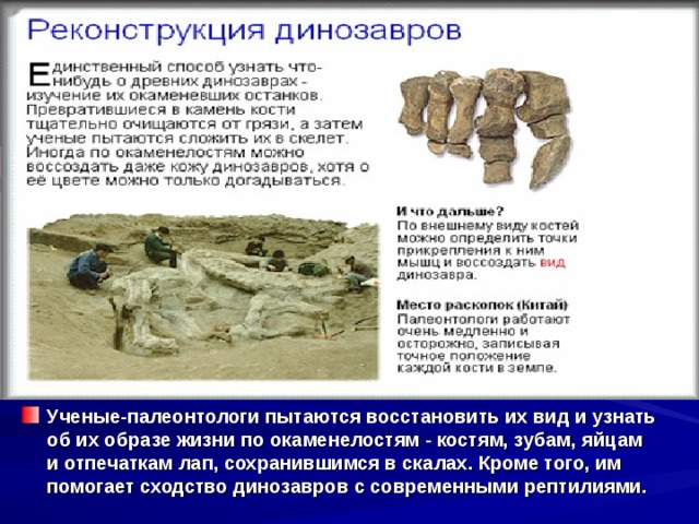 Ученые-палеонтологи пытаются восстановить их вид и узнать об их образе жизни по окаменелостям - костям, зубам, яйцам и отпечаткам лап, сохранившимся в скалах. Кроме того, им помогает сходство динозавров с современными рептилиями.   