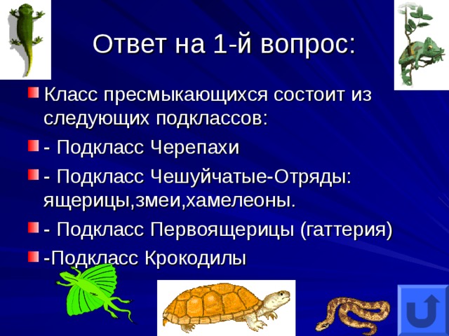 Ответ на 1-й вопрос: Класс пресмыкающихся состоит из следующих подклассов: - Подкласс Черепахи - Подкласс Чешуйчатые-Отряды: ящерицы,змеи,хамелеоны. - Подкласс Первоящерицы (гаттерия) -Подкласс Крокодилы  