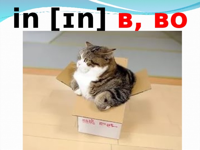 in [ɪn]  в, во       