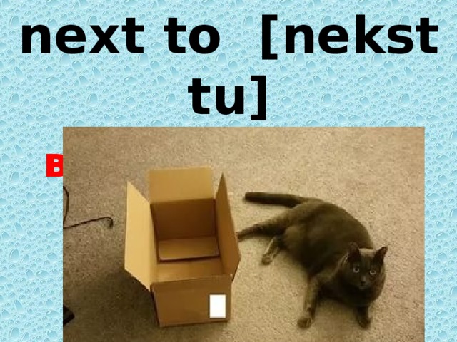 n e xt to    [nekst tu] возле, у, около 