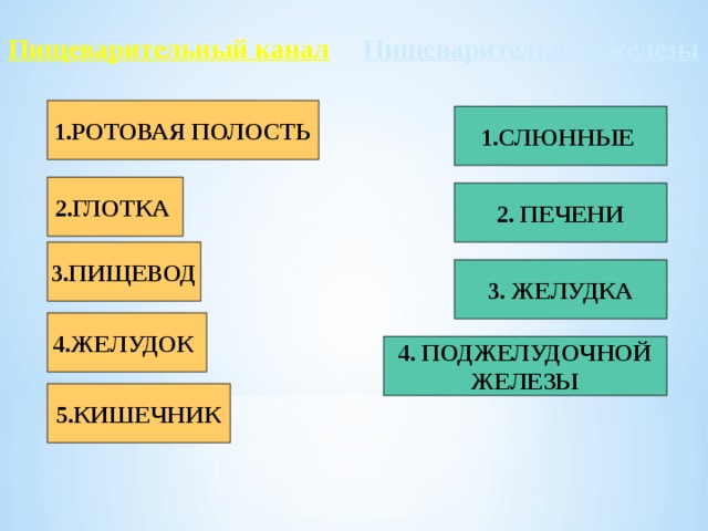 Пищеварительные железы Пищеварительный канал 1.РОТОВАЯ ПОЛОСТЬ 1.СЛЮННЫЕ 2.ГЛОТКА 2. ПЕЧЕНИ 3.ПИЩЕВОД 3. ЖЕЛУДКА 4.ЖЕЛУДОК 4. ПОДЖЕЛУДОЧНОЙ ЖЕЛЕЗЫ 5.КИШЕЧНИК 