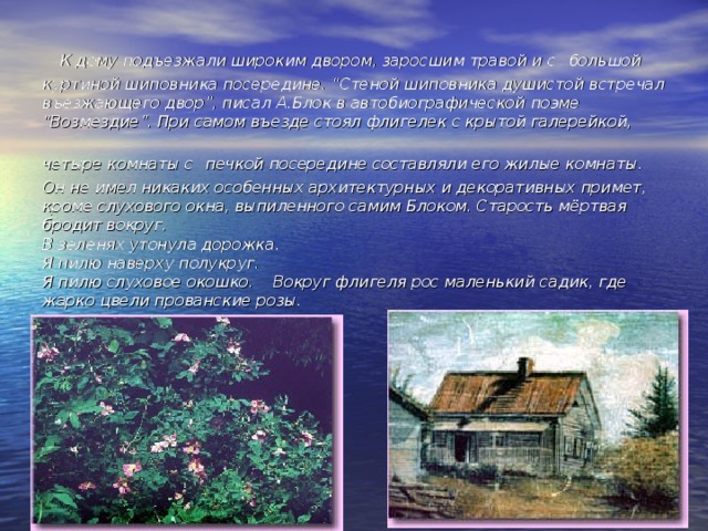      К дому подъезжали широким двором, заросшим травой и с  большой куртиной шиповника посередине. “Стеной шиповника душистой встречал въезжающего двор”, писал А.Блок в автобиографической поэме “Возмездие”. При самом въезде стоял флигелек с крытой галерейкой, четыре комнаты с  печкой посередине составляли его жилые комнаты. Он не имел никаких особенных архитектурных и декоративных примет,    кроме слухового окна, выпиленного самим Блоком. Старость мёртвая бродит вокруг.  В зеленях утонула дорожка.  Я пилю наверху полукруг.  Я пилю слуховое окошко.    Вокруг флигеля рос маленький садик, где жарко цвели прованские розы. 