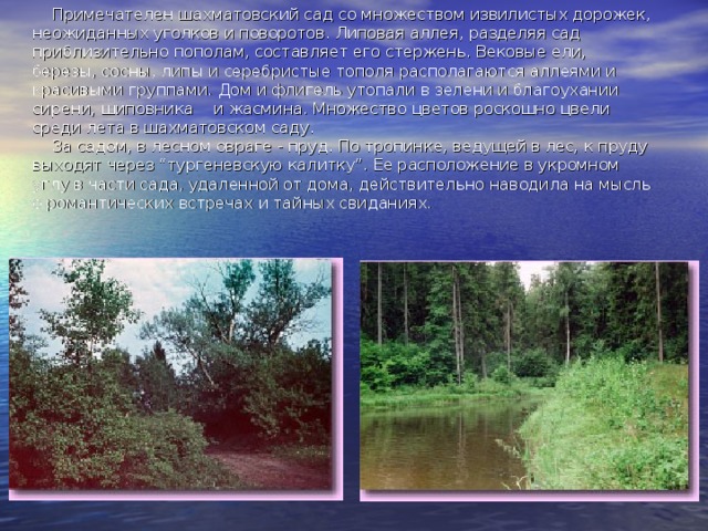     Примечателен шахматовский сад со множеством извилистых дорожек, неожиданных уголков и поворотов. Липовая аллея, разделяя сад приблизительно пополам, составляет его стержень. Вековые ели, березы, сосны, липы и серебристые тополя располагаются аллеями и красивыми группами. Дом и флигель утопали в зелени и благоухании сирени, шиповника    и жасмина. Множество цветов роскошно цвели среди лета в шахматовском саду.      За садом, в лесном овраге - пруд. По тропинке, ведущей в лес, к пруду выходят через “тургеневскую калитку”. Ее расположение в укромном углу в части сада, удаленной от дома, действительно наводила на мысль о романтических встречах и тайных свиданиях. 