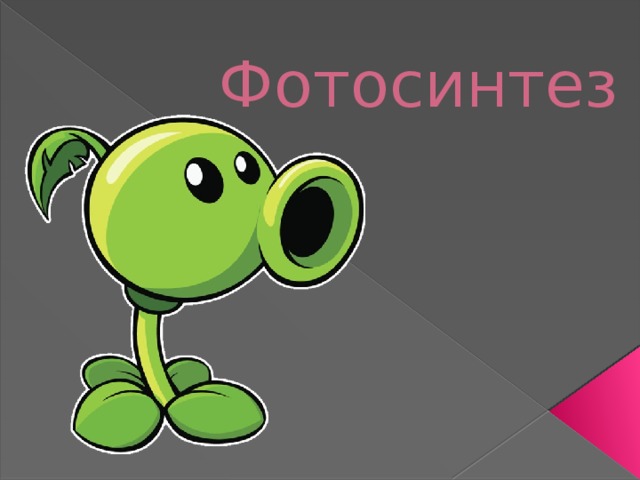 Фотосинтез 