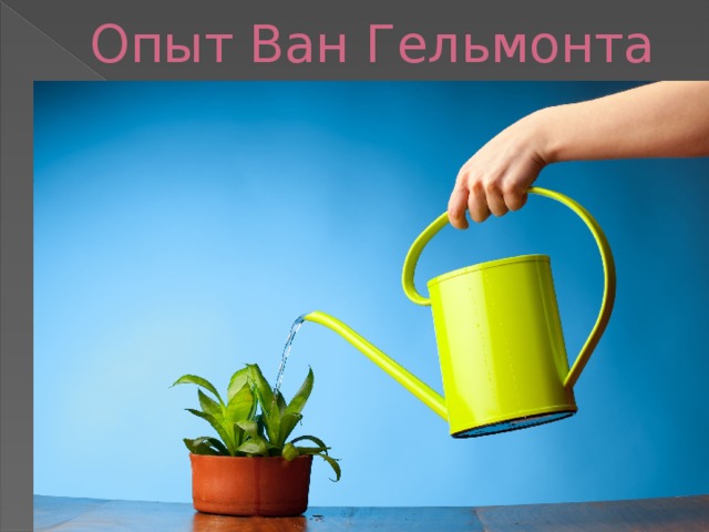 Опыт Ван Гельмонта 