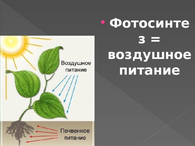 Фотосинтез = воздушное питание 