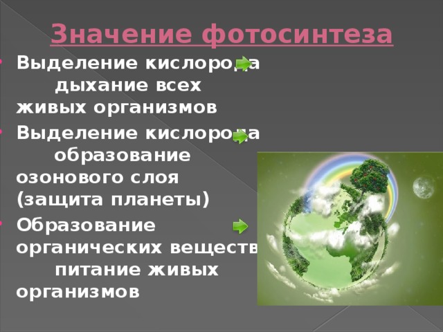 Значение фотосинтеза Выделение кислорода дыхание всех живых организмов Выделение кислорода образование озонового слоя (защита планеты) Образование органических веществ питание живых организмов  