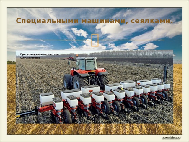 Специальными машинами, сеялками.   