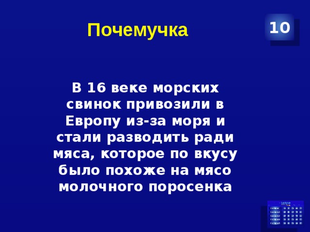 Почемучка 10 В 16 веке морских свинок привозили в Европу из-за моря и стали разводить ради мяса, которое по вкусу было похоже на мясо молочного поросенка 
