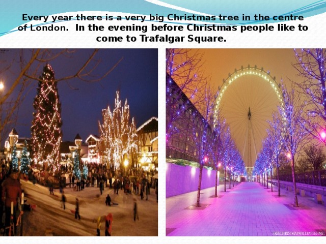 Every year there is a very big Christmas tree in the centre of London. In the evening before Christmas people like to come to Trafalgar Square. 