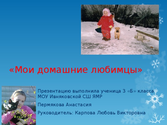 «Мои домашние любимцы» Презентацию выполнила ученица 3 «Б» класса МОУ Ивняковской СШ ЯМР Пермякова Анастасия Руководитель: Карпова Любовь Викторовна 