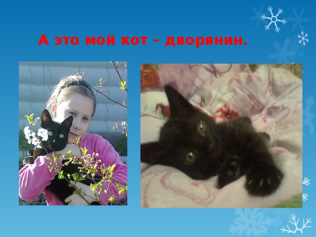 А это мой кот – дворянин. 