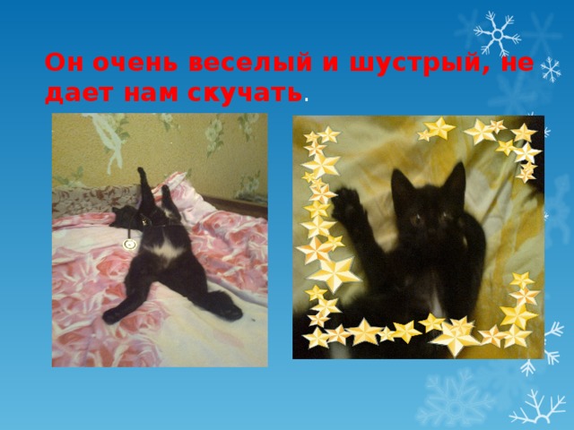 Он очень веселый и шустрый, не дает нам скучать . 