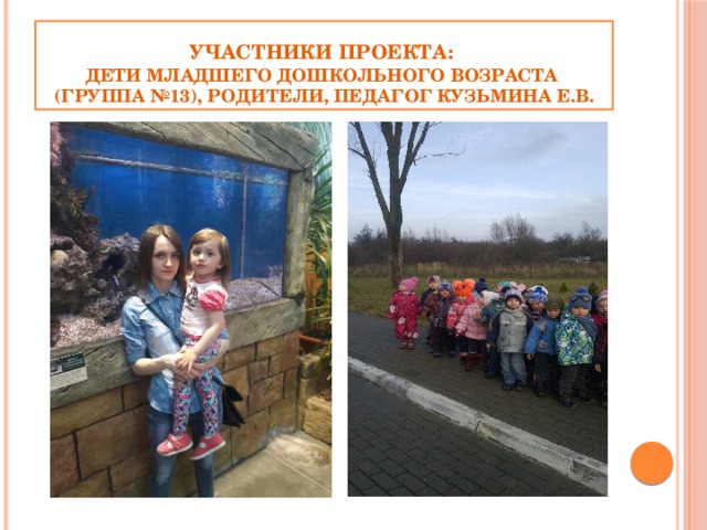 Участники проекта:  дети младшего дошкольного возраста  (группа №13), родители, педагог Кузьмина е.в. 