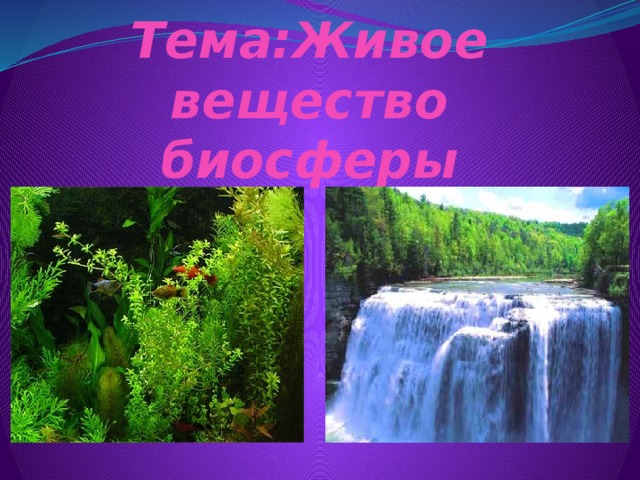 Тема:Живое вещество биосферы 
