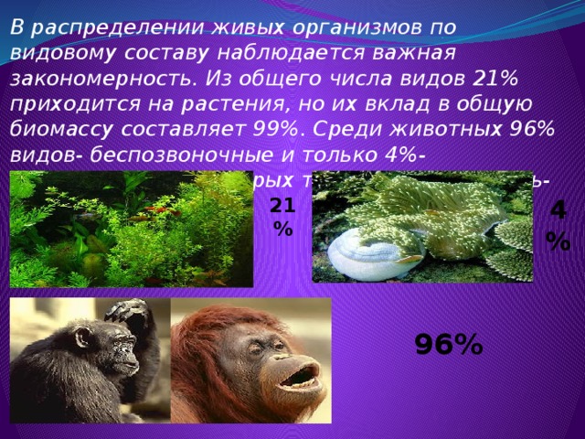 В распределении живых организмов по видовому составу наблюдается важная закономерность. Из общего числа видов 21% приходится на растения, но их вклад в общую биомассу составляет 99%. Среди животных 96% видов- беспозвоночные и только 4%- позвоночные, из которых только десятая часть- млекопитающие.    21% 4% 96% 