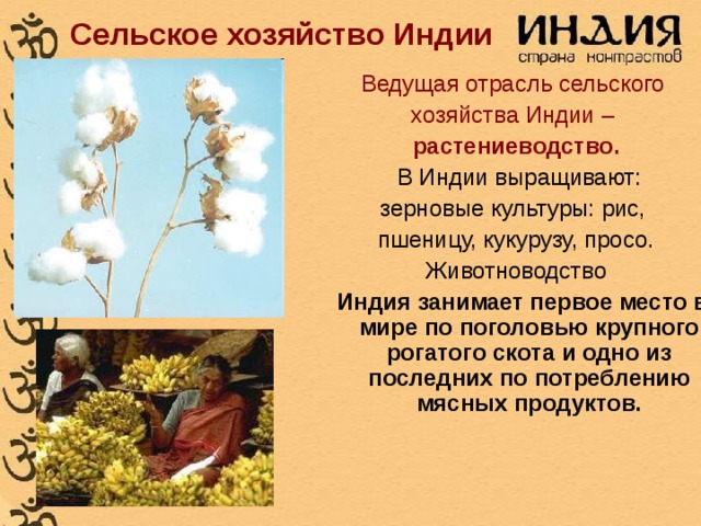 Сельское хозяйство Индии Ведущая отрасль сельского хозяйства Индии – растениеводство.  В Индии выращивают: зерновые культуры: рис, пшеницу, кукурузу, просо. Животноводство  Индия занимает первое место в мире по поголовью крупного рогатого скота и одно из последних по потреблению мясных продуктов. 