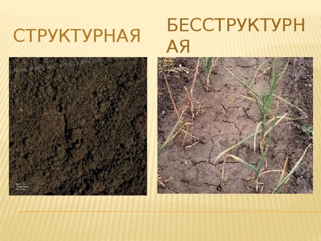 Структурная бесструктурная 
