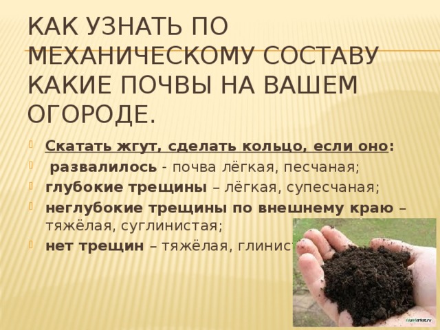 Как узнать по механическому составу какие почвы на вашем огороде. Скатать жгут, сделать кольцо, если оно :  развалилось - почва лёгкая, песчаная; глубокие трещины – лёгкая, супесчаная; неглубокие трещины по внешнему краю – тяжёлая, суглинистая; нет трещин – тяжёлая, глинистая. 