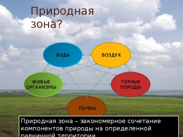 Природная зона? ВОДА ВОЗДУХ ГОРНЫЕ ПОРОДЫ ЖИВЫЕ ОРГАНИЗМЫ ПОЧВЫ Природная зона – закономерное сочетание компонентов природы на определенной равнинной территории. 