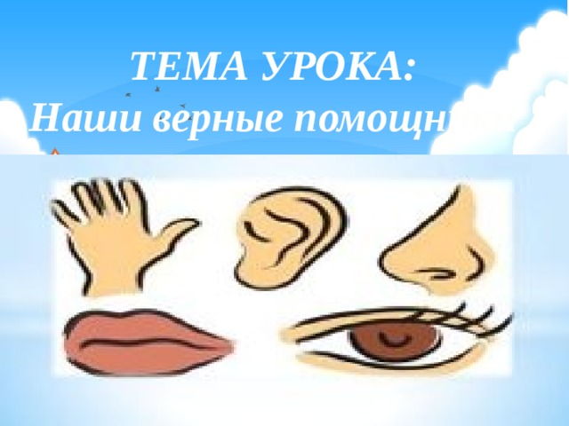 ТЕМА УРОКА: Наши верные помощники 