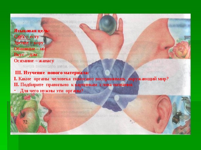 Языковая цель: Слух – есту Зрение – көру Обоняние – иіс Вкус – дәм Осязание – жанасу     ІІІ. Изучение нового материала: І. Какие органы человека помогают воспринимать окружающий мир? ІІ. Подбирите правильно к картинкам слова-названия. Для чего нужны эти органы? 