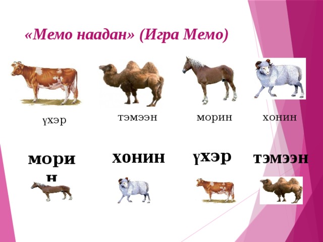 «Мемо наадан» (Игра Мемо) тэмээн хонин морин ү хэр хонин ү хэр тэмээн морин 
