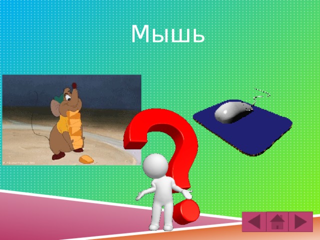 Мышь 