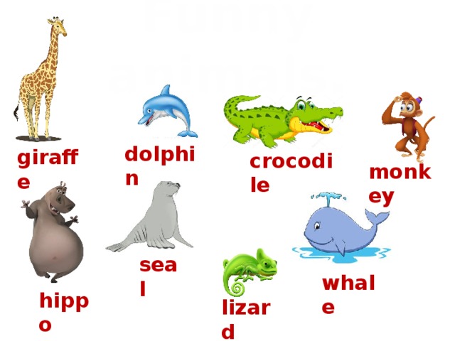 Funny animals. dolphin giraffe crocodile monkey seal whale hippo lizard 