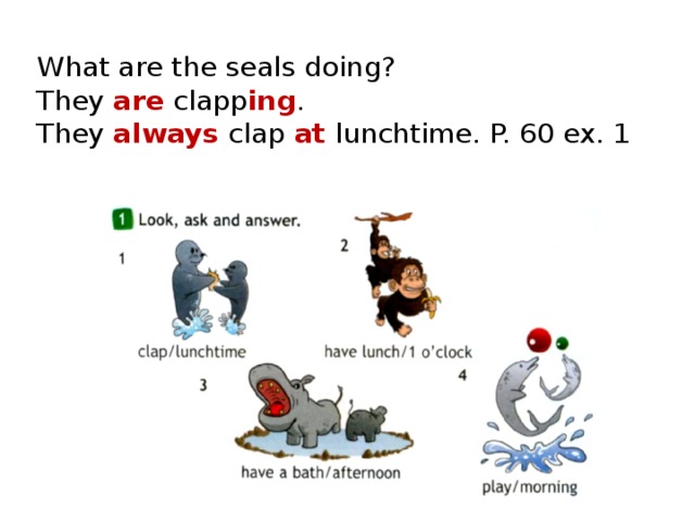 What are the seals doing?  They are clapp ing .  They always clap at lunchtime. P. 60 ex. 1 