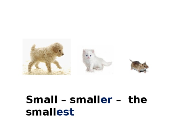 Small – small er – the small est 