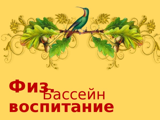 Физ.  воспитание Бассейн 