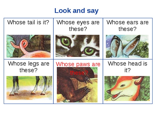 Look and say  Whose tail is it? Whose eyes are these? Whose legs are these? Whose ears are these? Whose head is it? Whose paws are  these? 