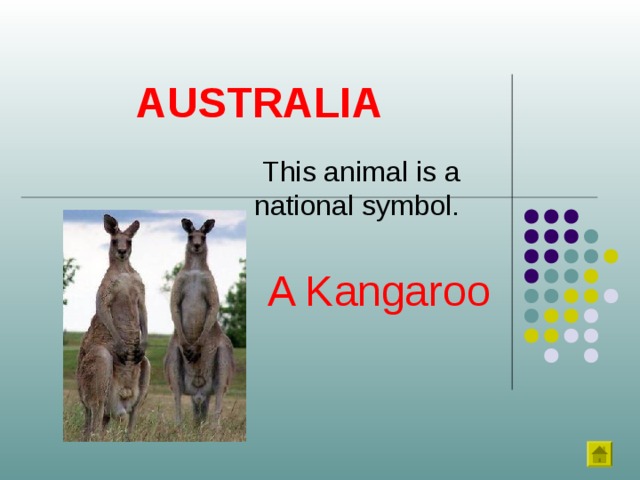 AUSTRALIA This animal is a national symbol. A Kangaroo 