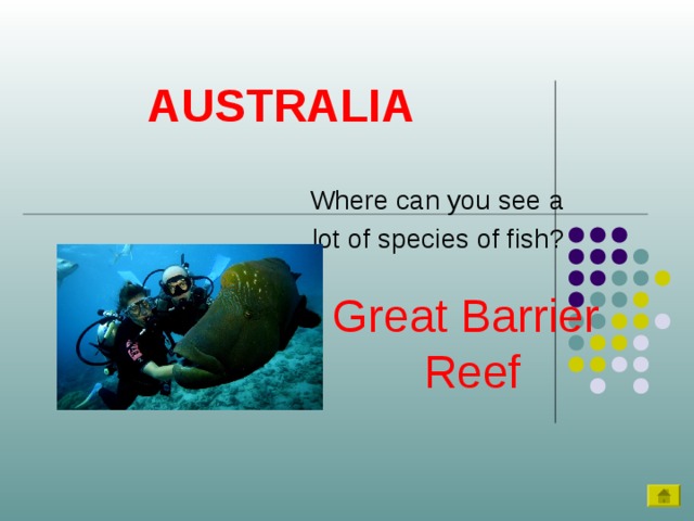 AUSTRALIA Where can you see a  lot of species of fish? Great Barrier  Reef 